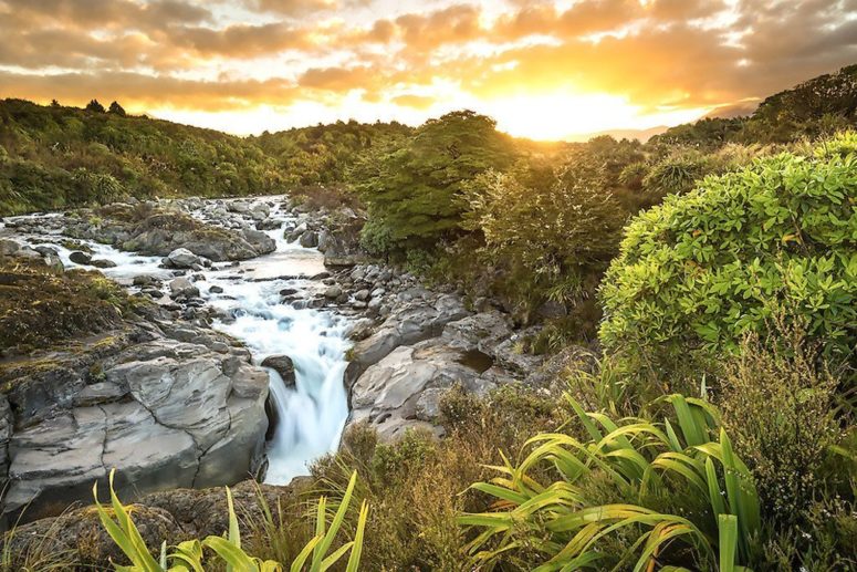 Neuseeland Flug - Work and Travel Neuseeland