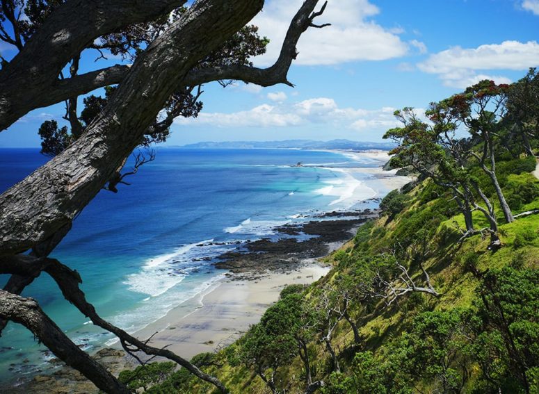 destination-mangawhai-heads-4 image