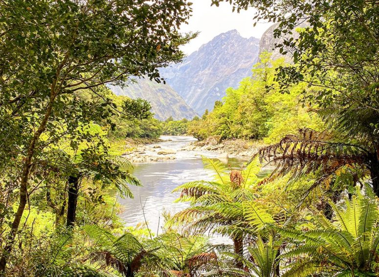 milford track image 1